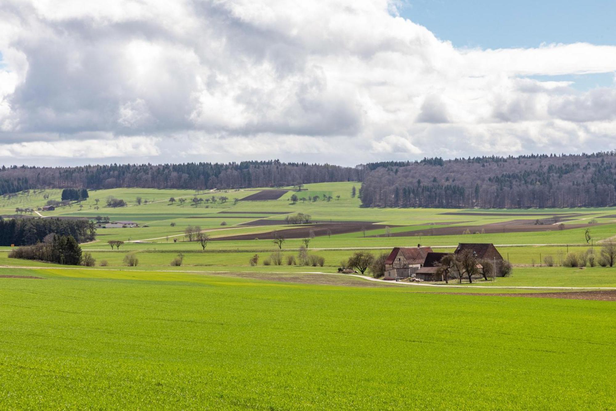 Ferienhaus Em Biehl Frankenhofen エクステリア 写真